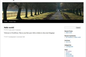 WordPress Ϣƽ̨ v5.6.1 ʽ