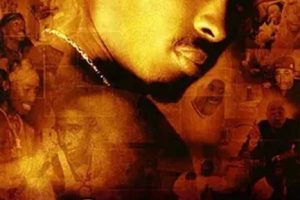 [2004][][绪][DVDRip][1.46G][ٶ]