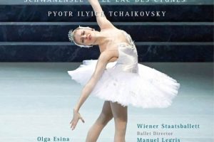 [BDŷݳ]ɷ˹ άҲ2014 Tchaikovsky Swan Lake Vienna 2014[BDMV][21.59GB][ٶ]