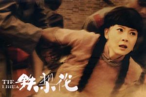 硶滨(2010)ȫ43(ִ)//Ƶϼٶ/ء