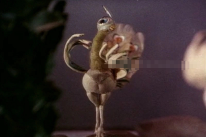 ͯӰȸ1982[ͯ][/1][235MB][ٶ]