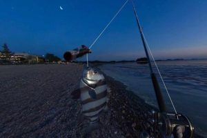 VRϷʵ Real VR Fishing v1.413[Ӣ][450.63MB][ٶ]
